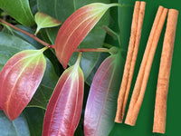 Cinnamon