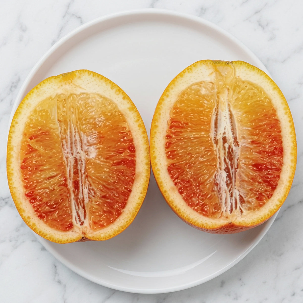 Blood Orange Tree ‘Sanguinelli’ for sale