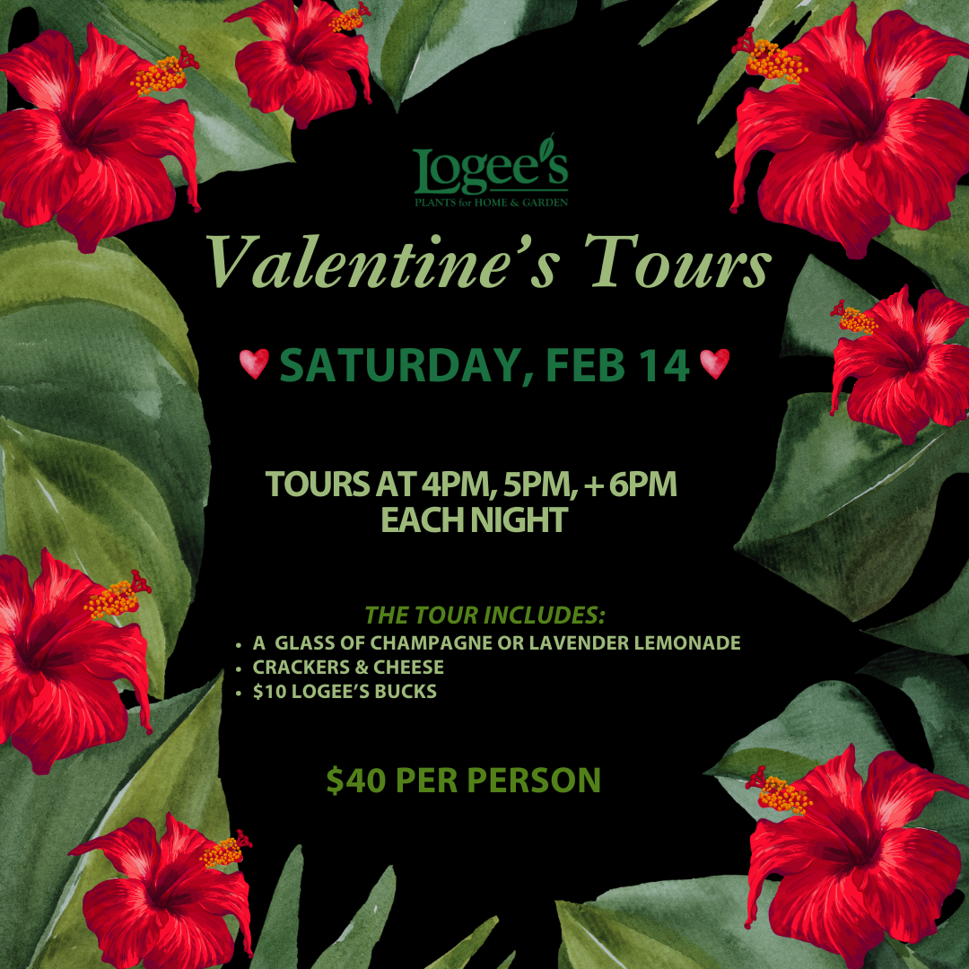 Valentine's Tour - Saturday, February 14 @ 4PM