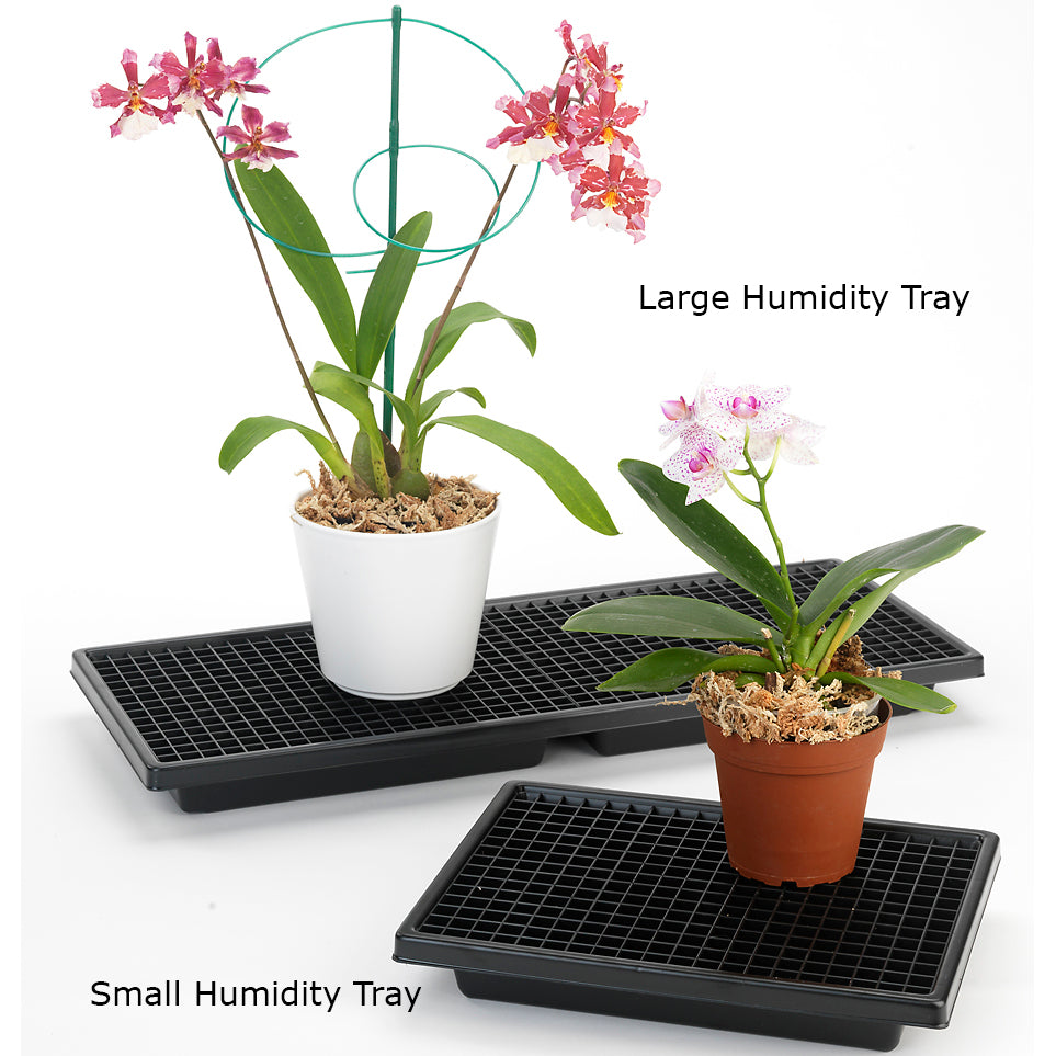 Small Humidity Tray
