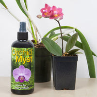 Orchid Accessories